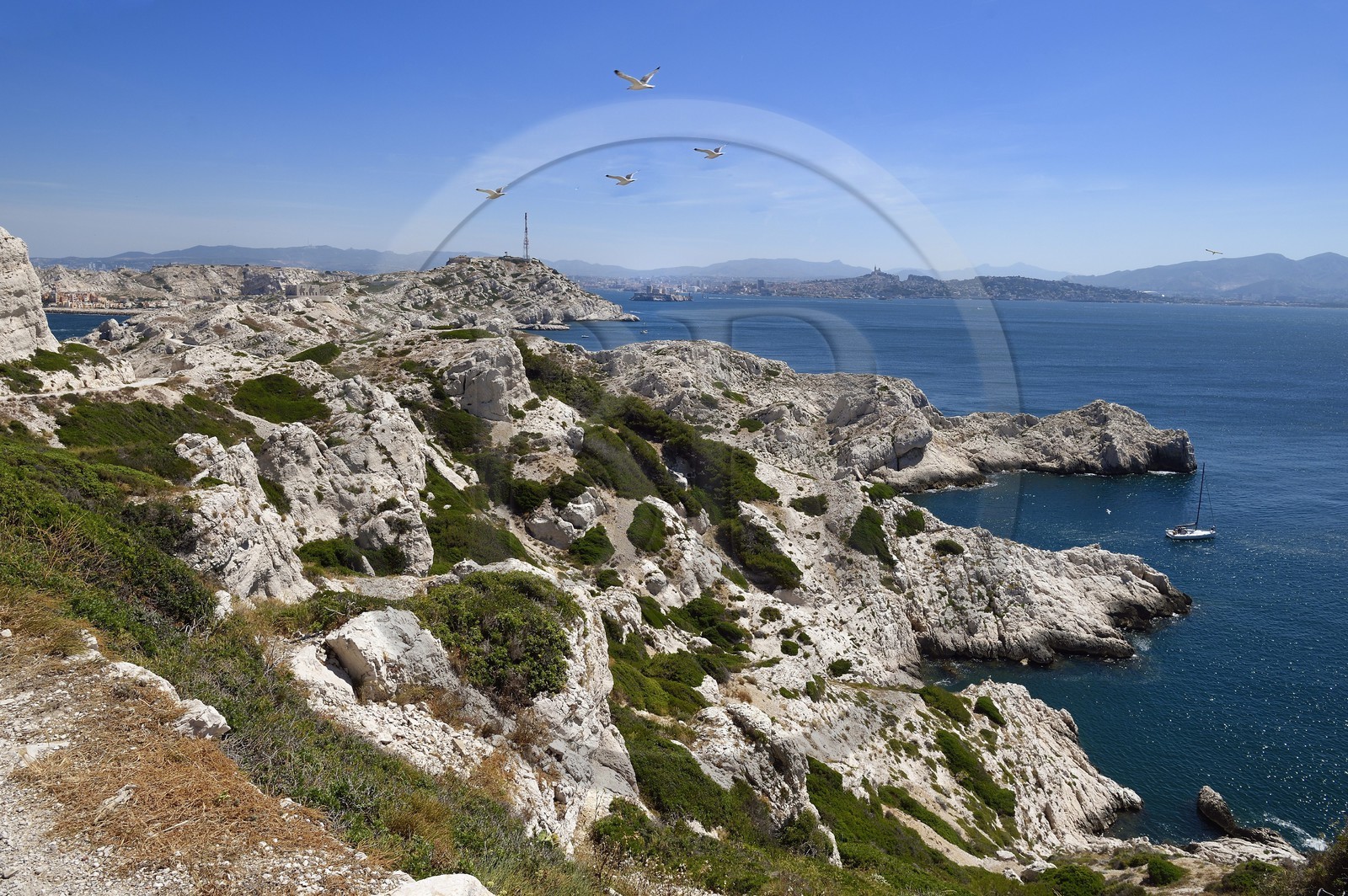 France, Bouches du Rhone, Marseille, Calanques National Park, archipelago of Frioul islands, Pomegues island and the Marseille skyline in the background