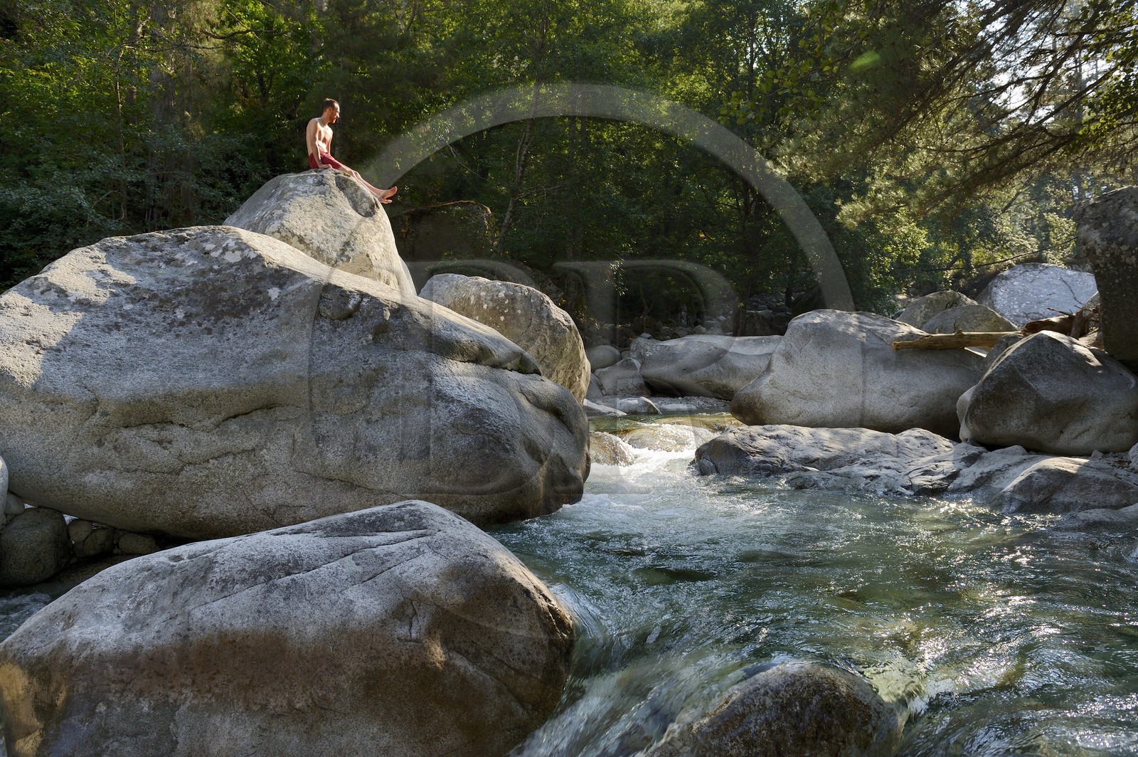France, Haute-Corse (2B), Corte, Vallée de la Restonica