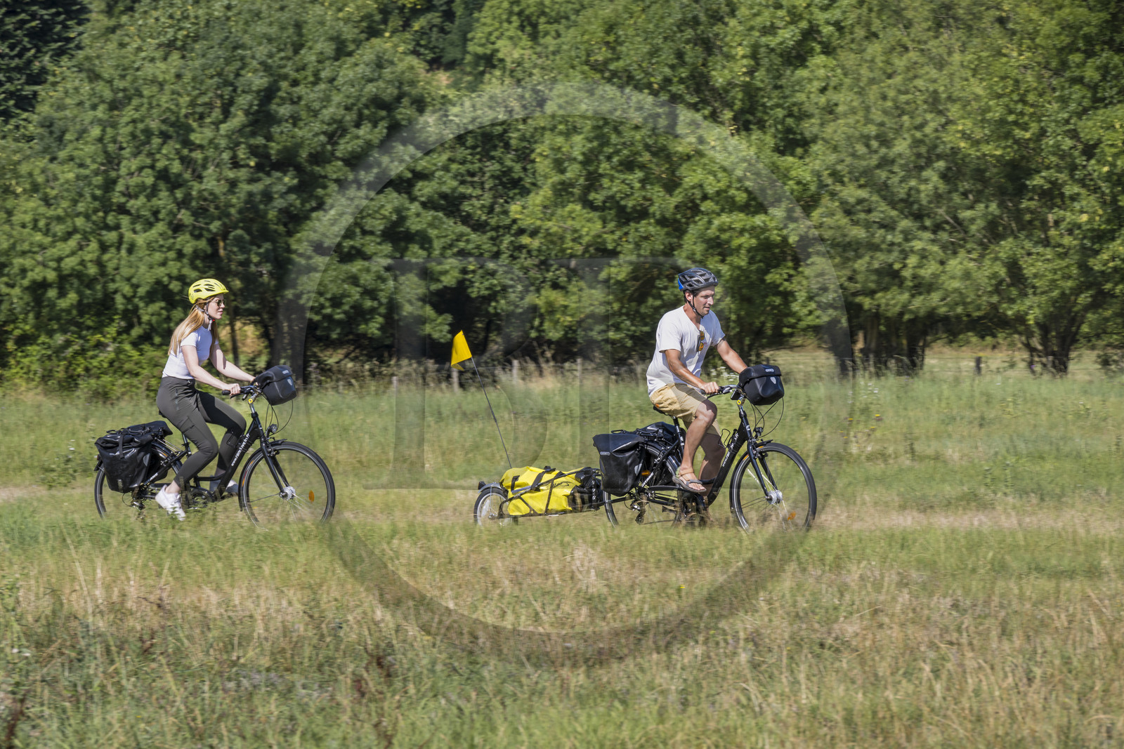 France, Maine-et-Loire (49), vallée de la Loire classée au Patrimoine Mondial par l'UNESCO, Saumur vers Saint-Hilaire, randonnée à bicyclette sur les berges de la Loire, vélo avec une remorque transportant le matériel de camping