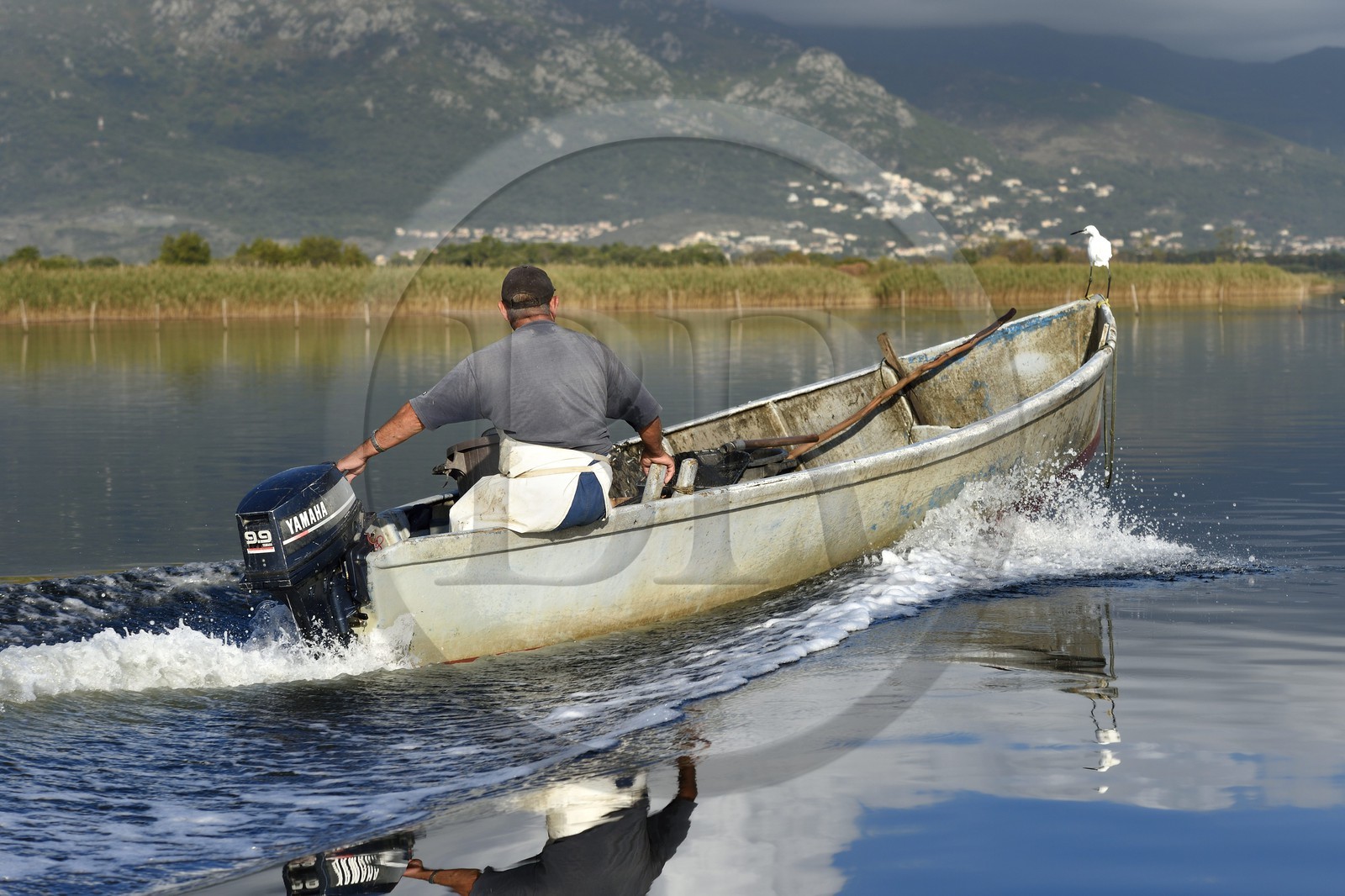 France, Haute Corse, fisherman in a boat on the pond of Biguglia (Stagnu di Chiurlinu) and little egret (Egretta garzetta), nature reserve of Corsica (RNC)