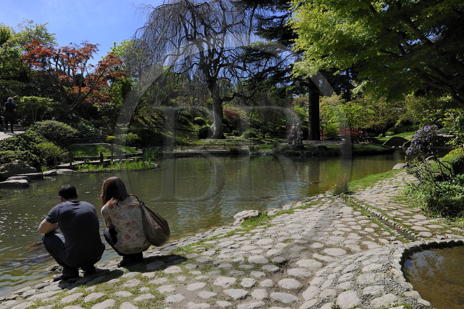 France, Hauts-de-Seine (92), Boulogne-Billancourt, le jardin japonais du musée départemental Albert-Kahn