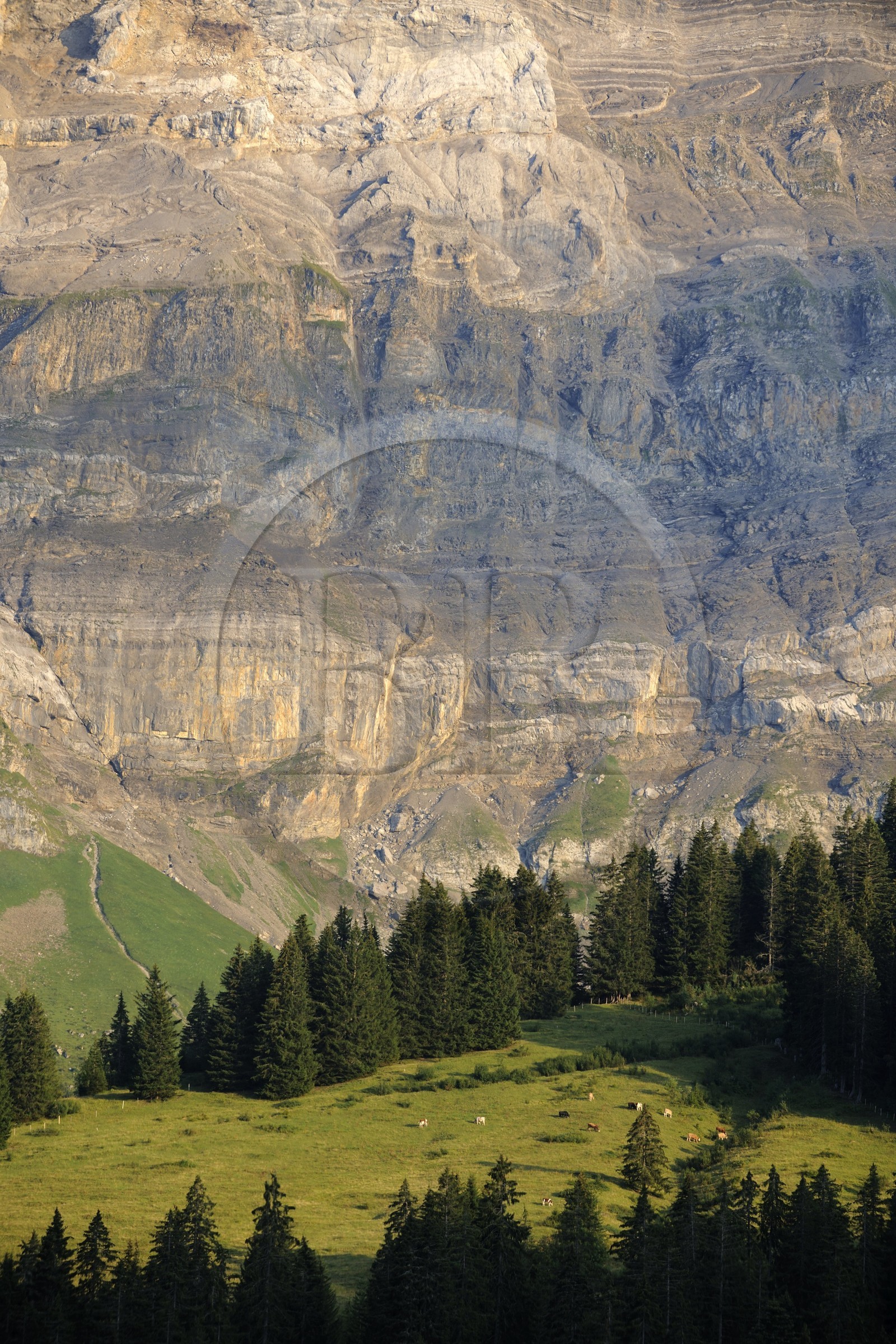 Suisse, canton de Vaud, Les Diablerets au Col de la Croix