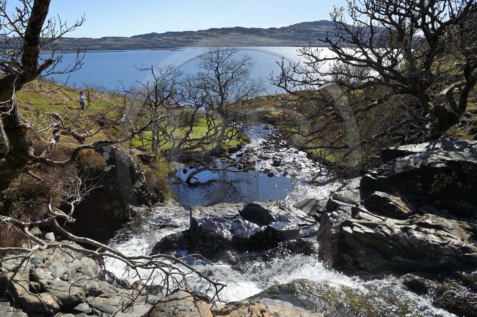 Royaume-Uni, Ecosse, Highland, Hébrides intérieures, cote ouest de l'Ile de Mull, cascade d'Eas Fors