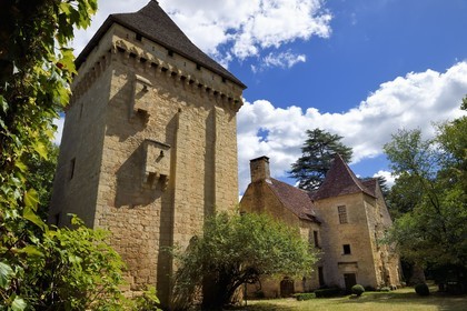France, Dordogne, Perigord Noir, Vezere Valley, Saint Leon sur Vezere, labelled Les Plus Beaux Villages de France (The Most Beautiful Villages of France), the keep of the Manoir de la Salle Mansion