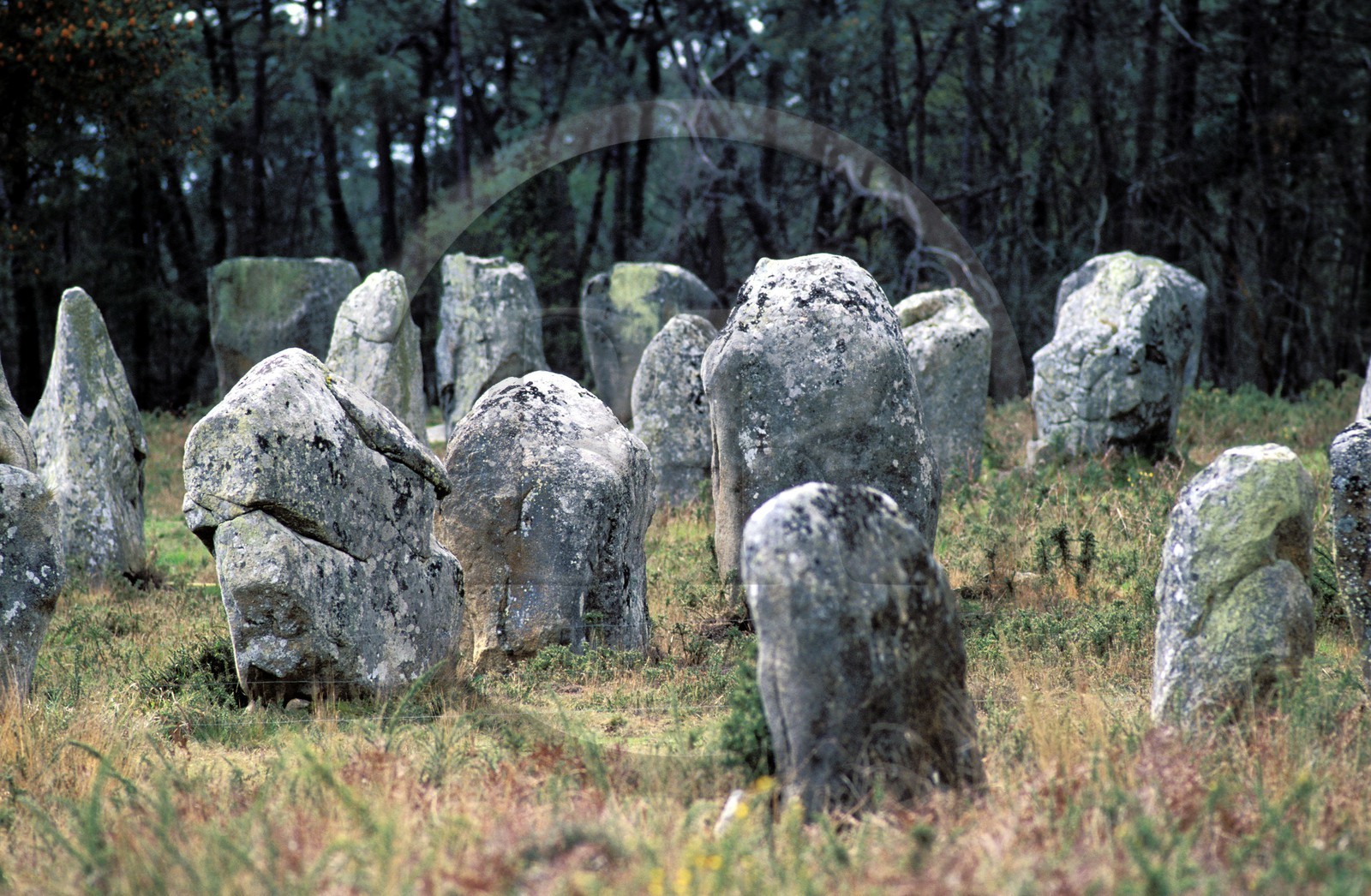 France, Morbihan (56), les mégalithes de Carnac (alignements de menhirs)