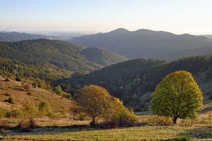 France, Haut-Rhin (68), Wasserbourg, massif des Vosges en bordure de la plaine d'Alsace (en arrière plan) depuis le Petit Ballon