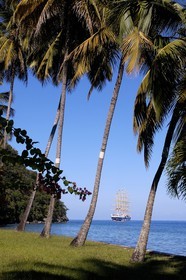 Caraïbes, Sainte Lucie, le bateau Royal Clipper à l'ancre dans Marigot Bay