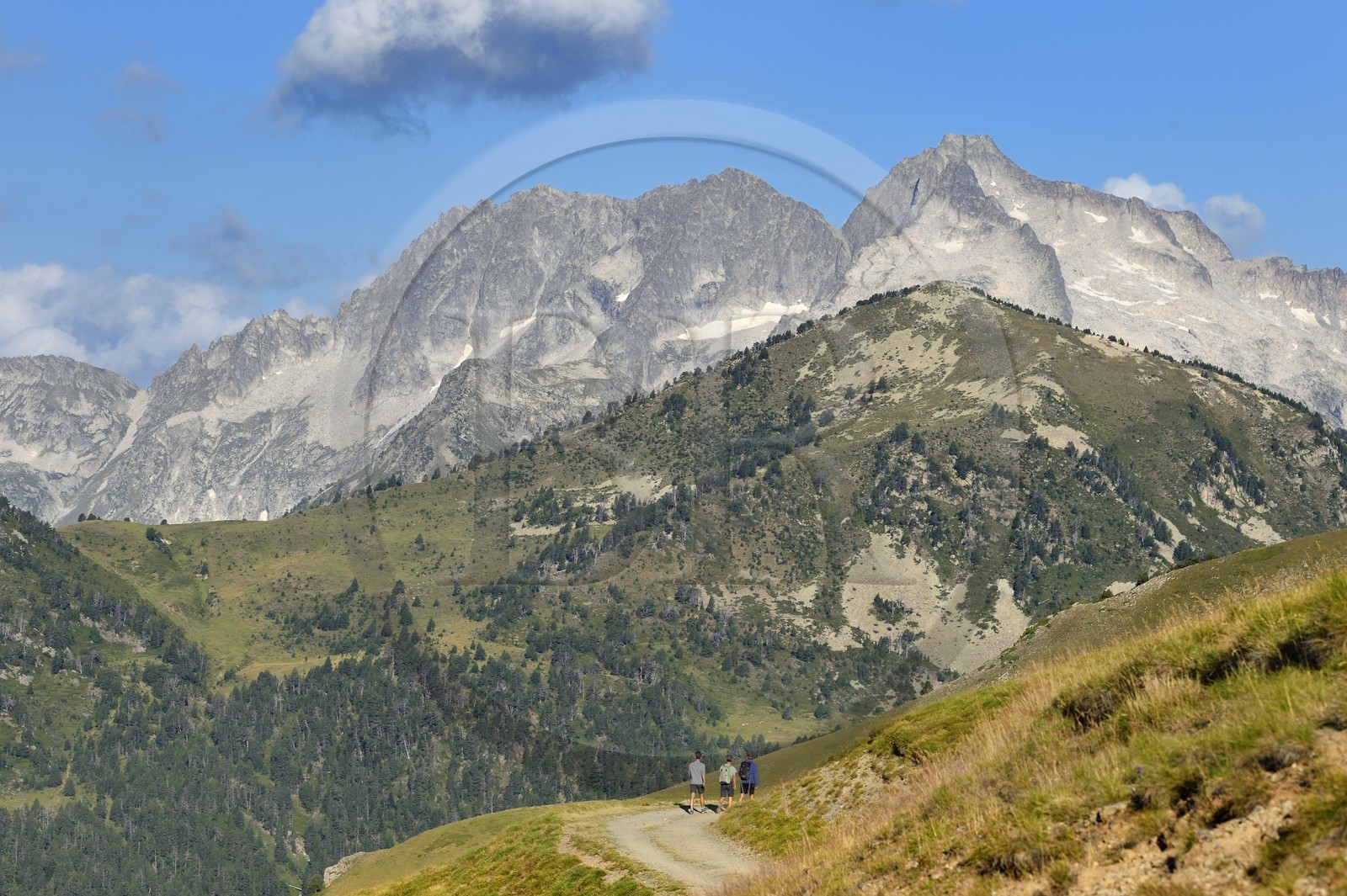 France, Hautes Pyrenees, Saint Lary Soulan and Vielle-Aure, hike on a variant of the GR10 between the Portet pass and the Bastan lakes on the edge of the Neouvielle nature reserve in the background