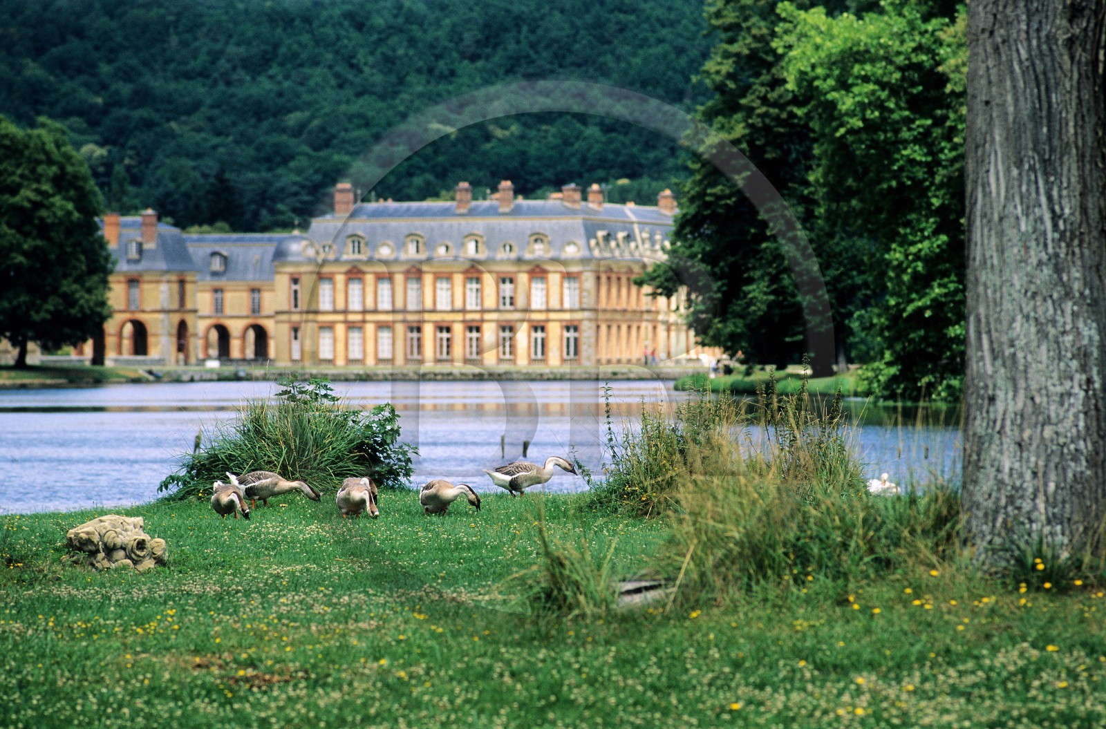France, Yvelines (78), château et parc de Dampierre