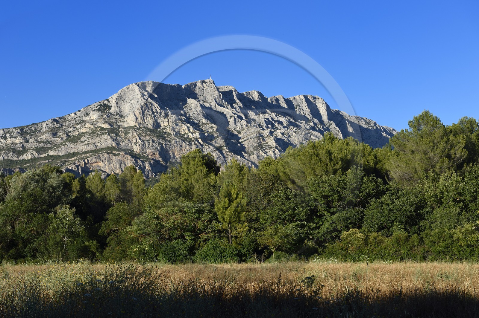 France, Bouches-du-Rhône (13), Pays d'Aix en Provence, vers le Tholonet, la Montagne Sainte Victoire, route Cézanne