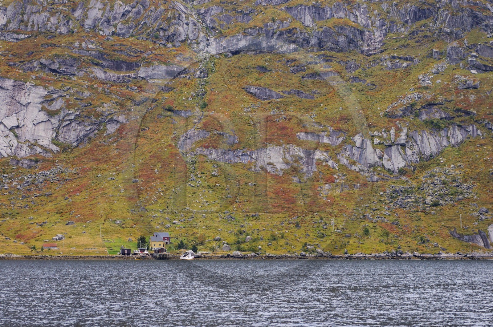 Norvège, Nordland, Iles Lofoten, ile de Moskenesoy, habitations isolées dans le  Kjerkefjorden derrière la commune de Reine