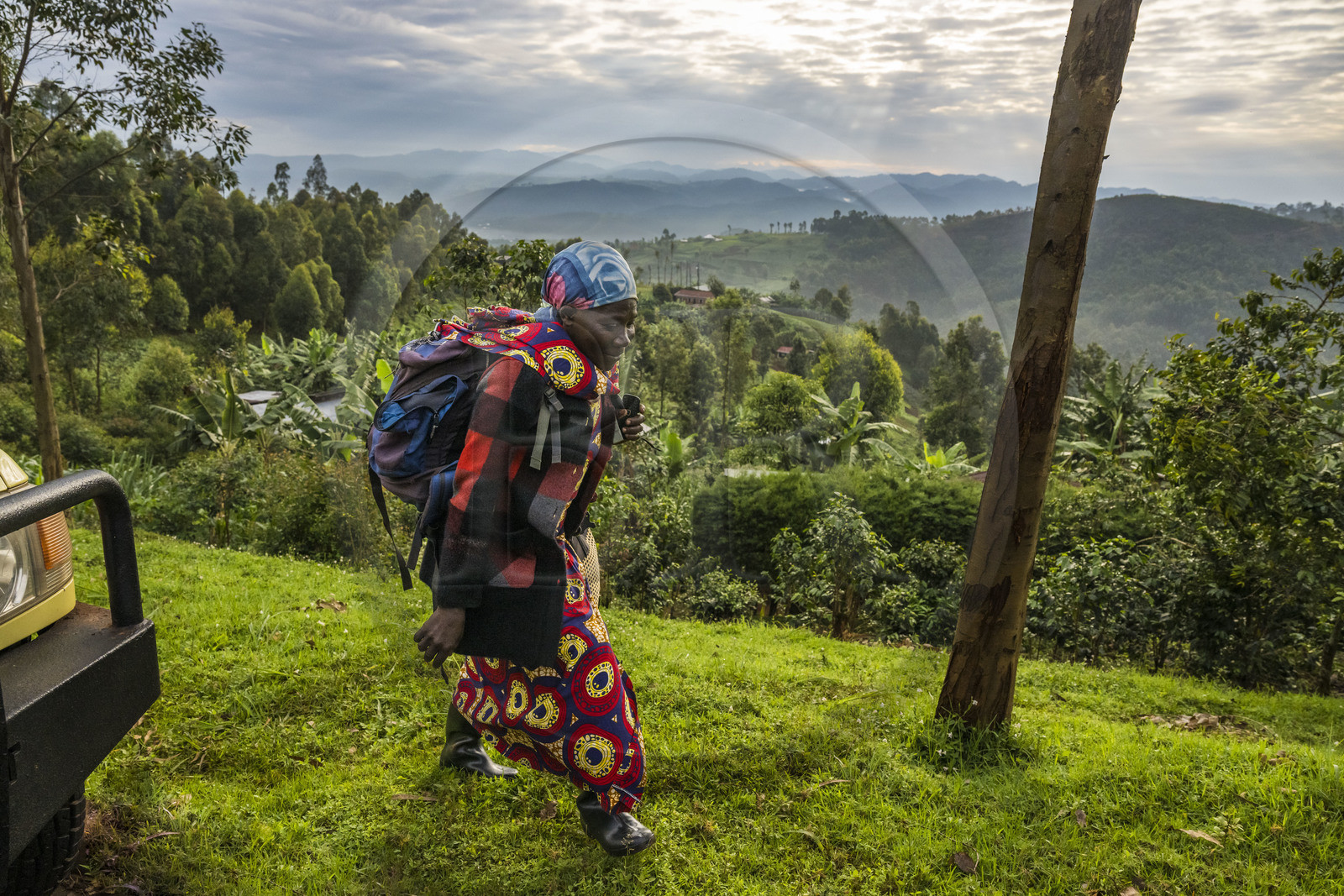 Rwanda, Western Province, Gisuma, agriculture in the hills, in the background the mountains of Democratic Republic of Congo, woman going to work in a tea plantation
