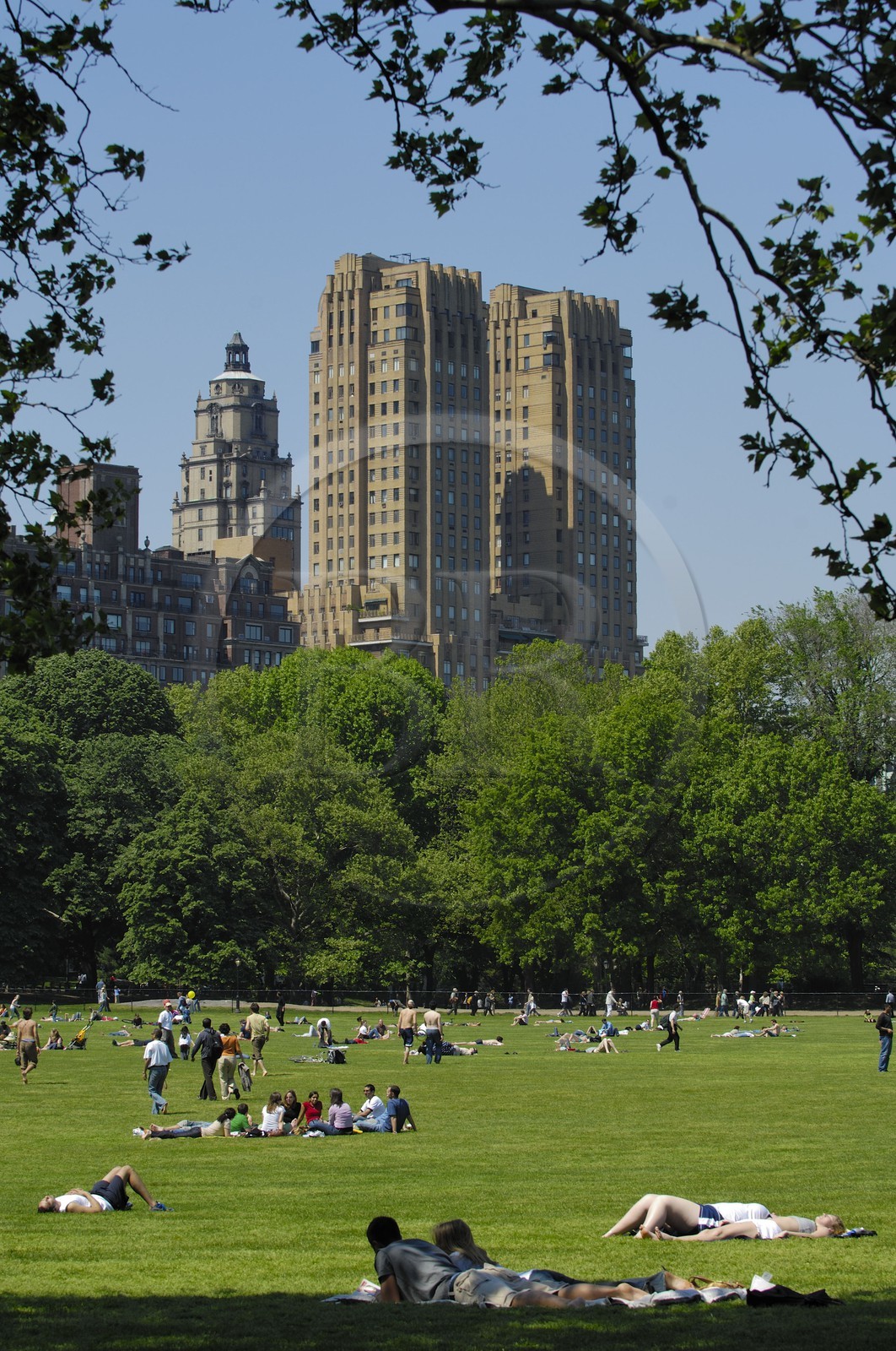 Etats-Unis, New York, Central park, farniente et sport le dimanche sur la pelouse The Sheep Meadow