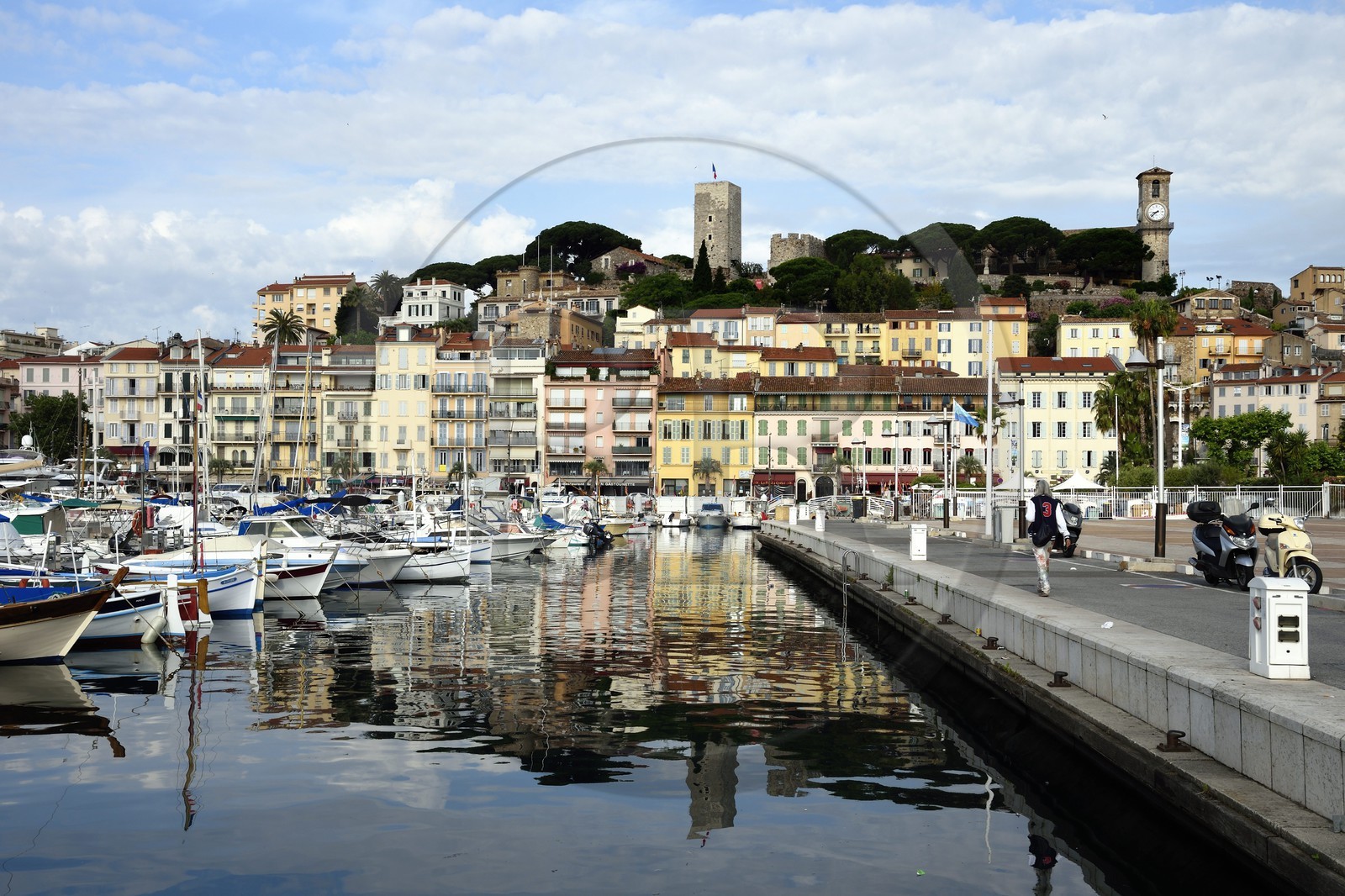 France, Alpes-Maritimes (06), Cannes, le port et la vieille ville dans le quartier Le Suquet, à son sommet la Tour du Suquet et le clocher de l'église Notre-Dame-de-l'Espérance