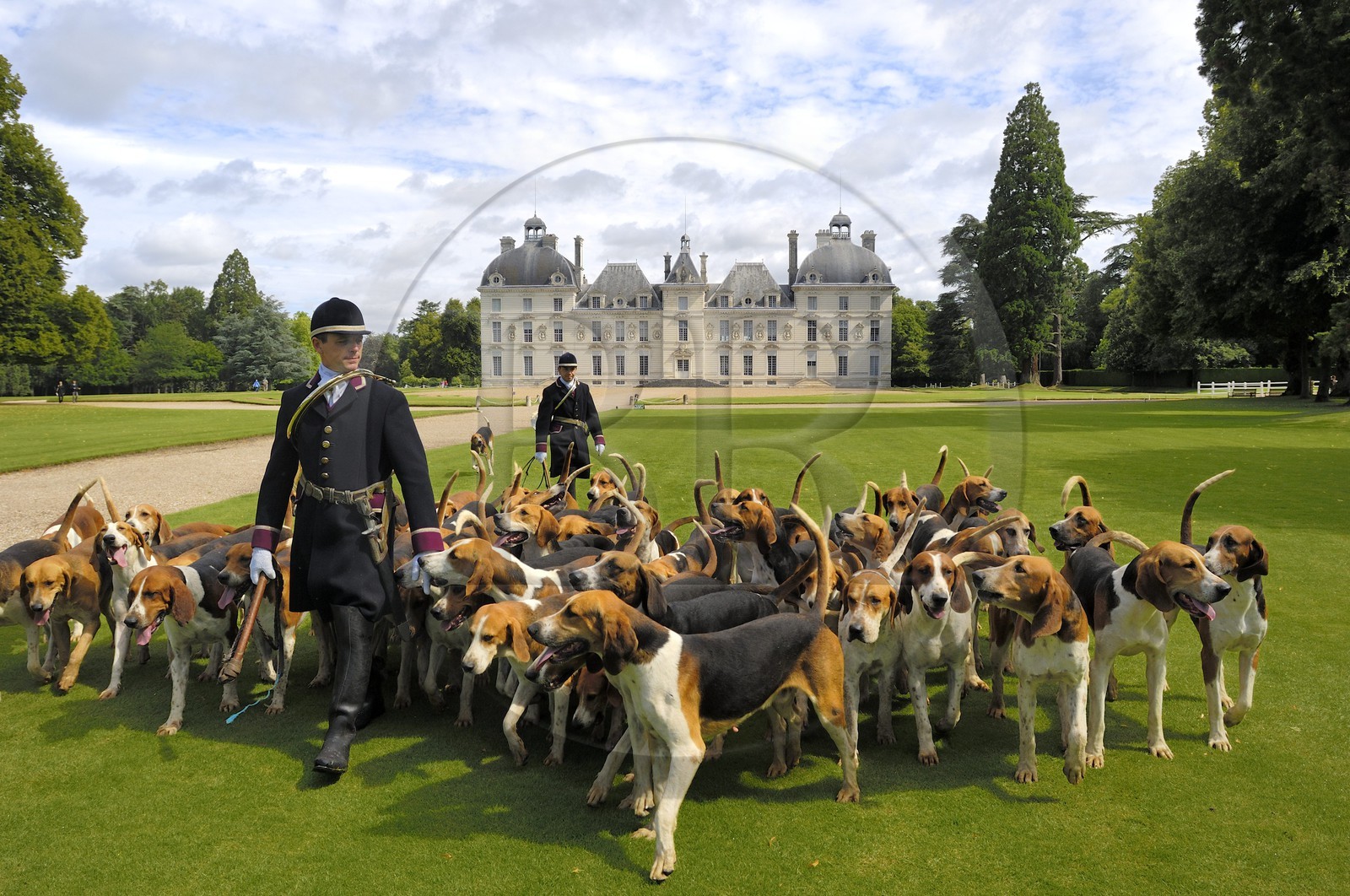 France, Loir et Cher, Chateau de Cheverny, the hunstmen Vol au Vent and La Rosée, who manage the pack of 90 dogs for hunting