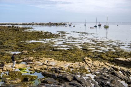 France, Finistère (29), Mer d'Iroise, Ile de Molène, navire de la Penn ar Bed assurant la liaison avec les iles de Molène et Ouessant à quai à Molène