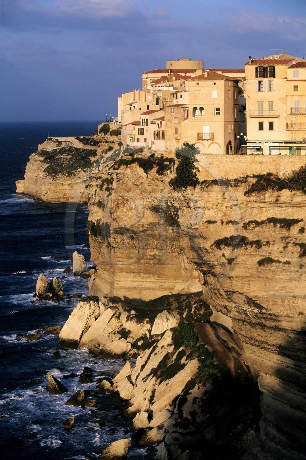 France, Corse-du-Sud (2A), maisons de la vieille ville de Bonifacio perché sur la falaise de calcaire