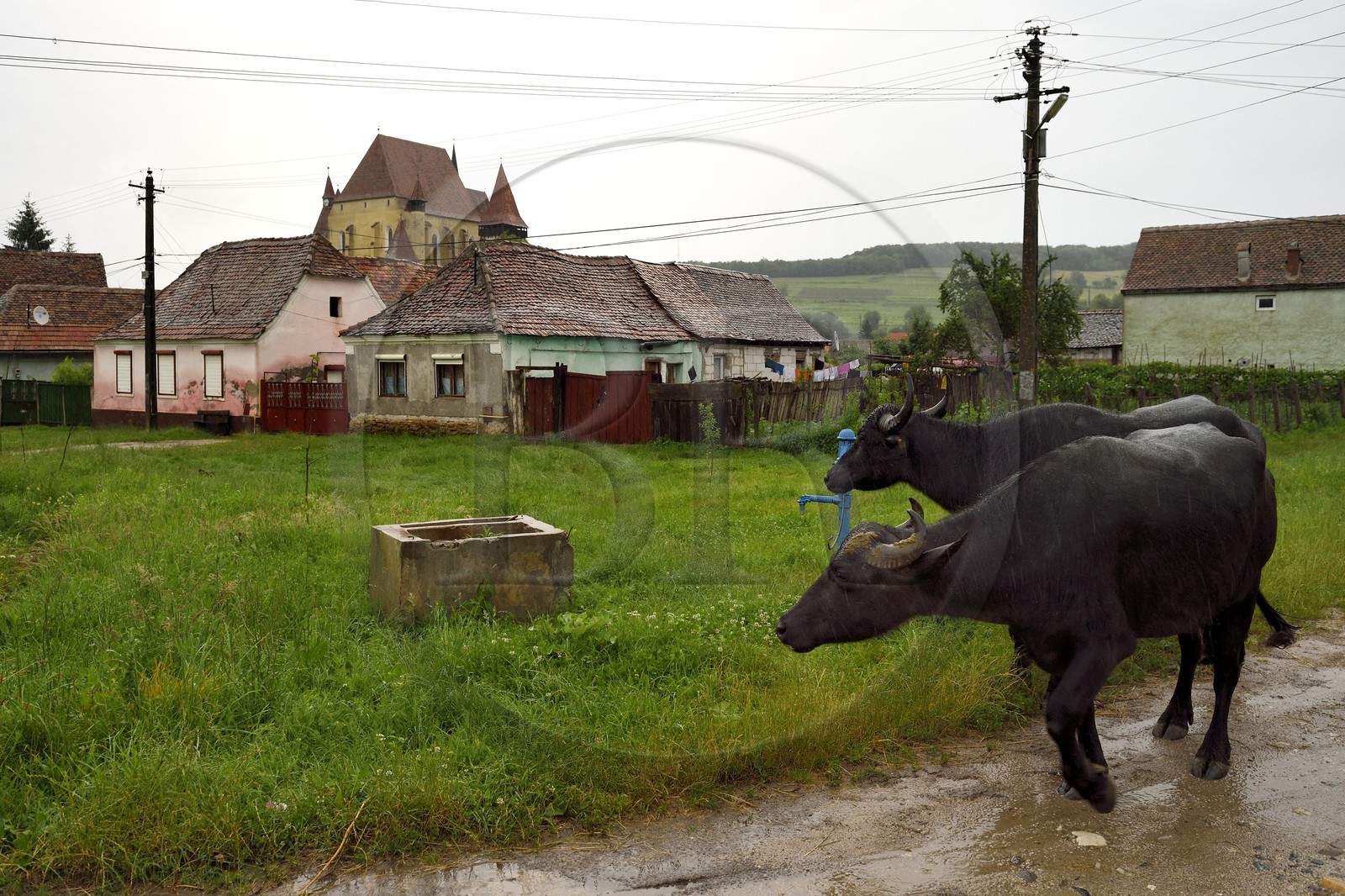 Roumanie, Transylvanie, Biertan, église fortifiée classée Patrimoine Mondial de l'UNESCO
