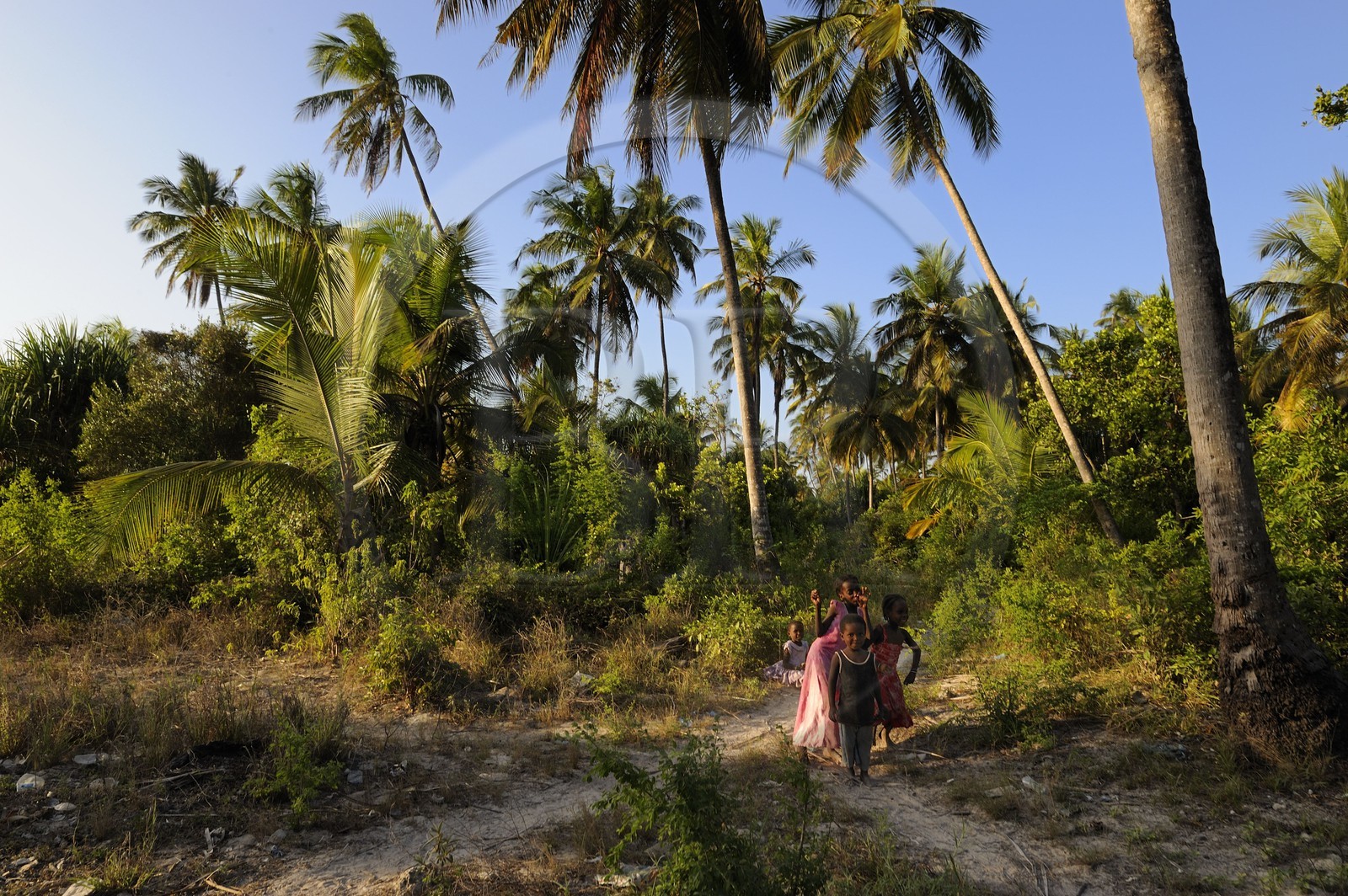 Tanzanie, Zanzibar, côte Sud-Est, enfants dans la campagne derrière le village de Michamvi