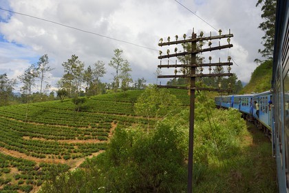 Sri Lanka, Central Province, the popular scenic train ride through the tea growing hill country between Hatton and Badulla, here batween Rotagala and Talawakele