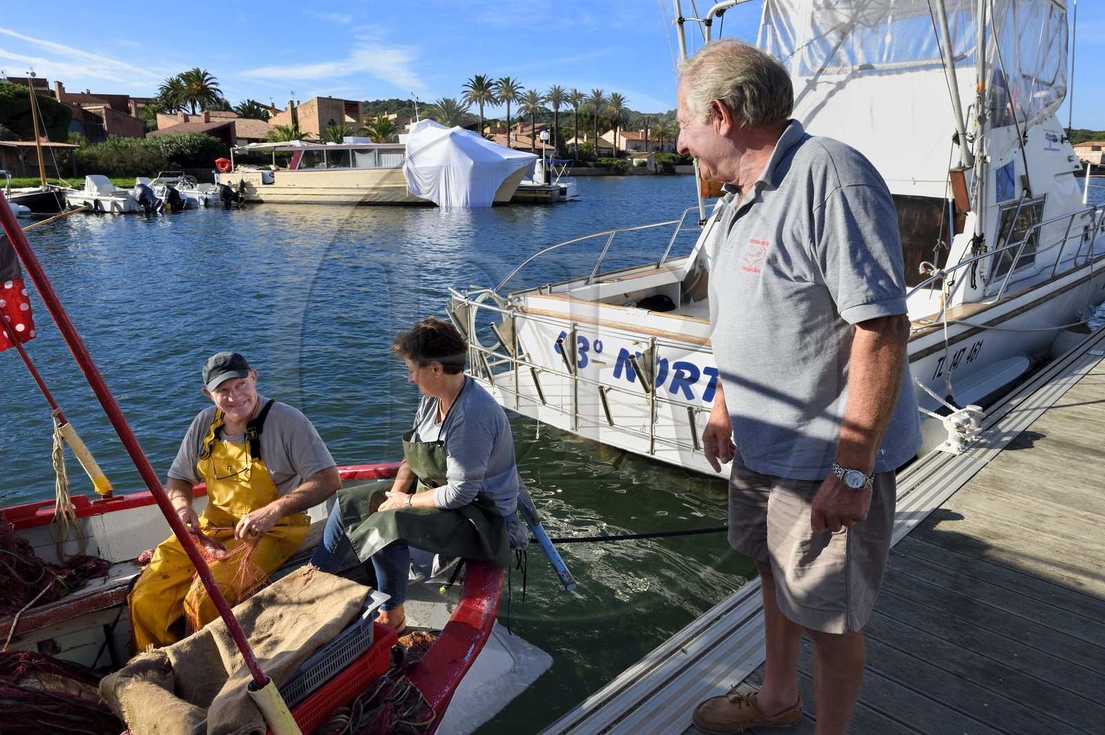 France, Var (83), Iles d'Hyères, parc national de Port Cros, Ile de Porquerolles, le quai des pêcheurs sur le port du village, le couple Martine et Jean Paul Costes sur leur bateau Le Boucanier triant la pêche du matin en compagnie de Sam le pêcheur
