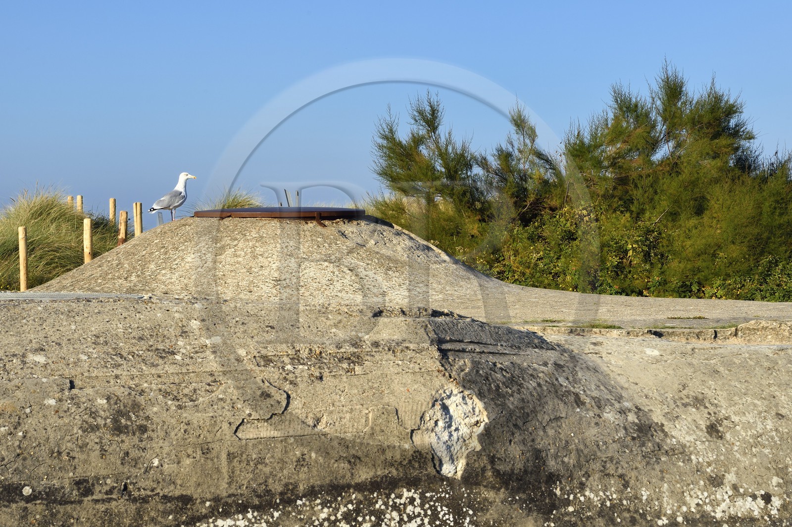 France, Calvados (14), Courseulles-sur-Mer, Centre Juno Beach, musée consacré au role du Canada lors de la Seconde Guerre Mondiale, blockhaus sur la plage