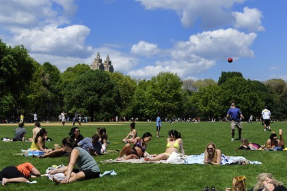 Etats-Unis, New York, Manhattan, Central Park, farniente et sport le dimanche sur la pelouse du terrain de baseball