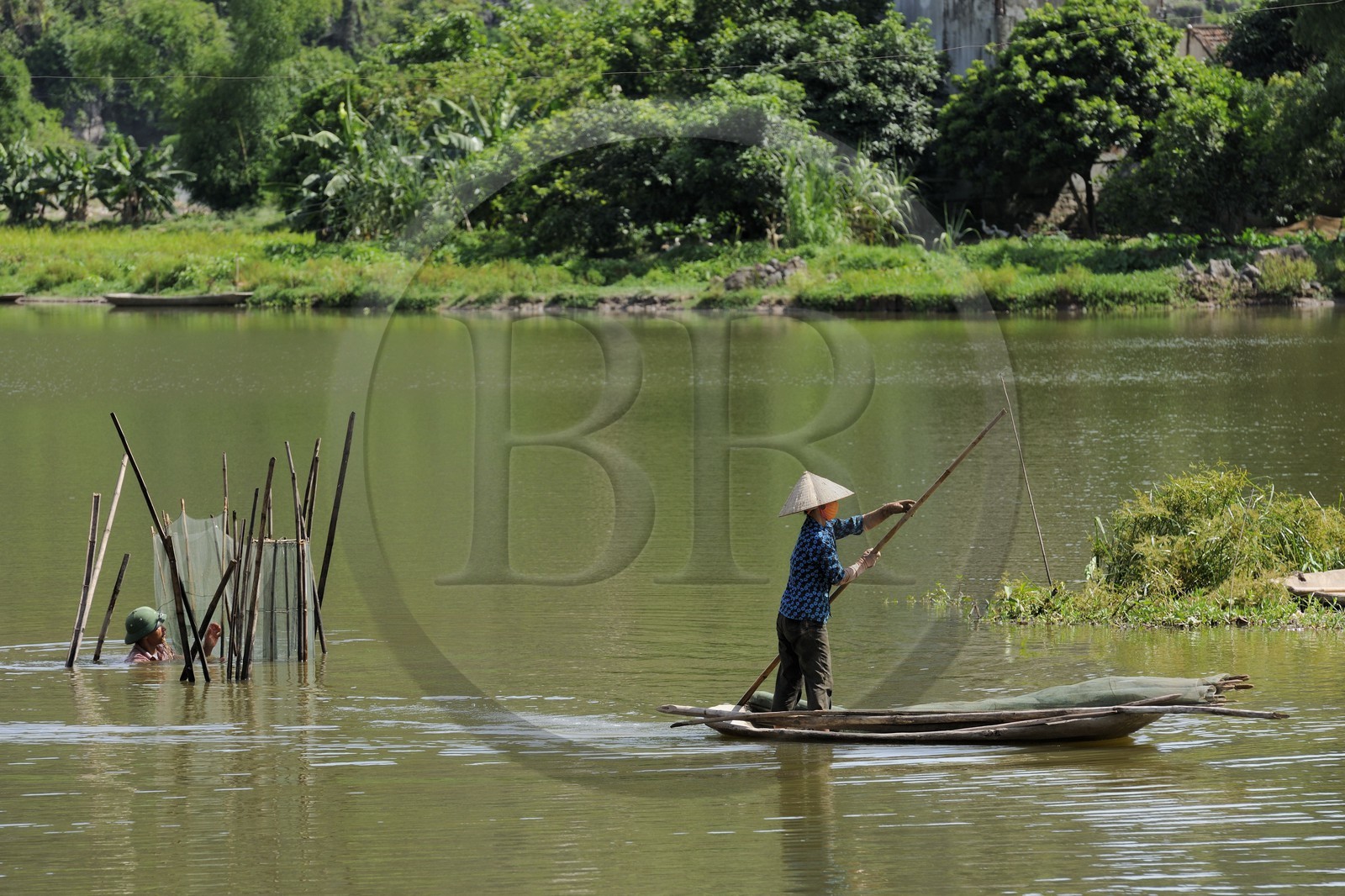 Vietnam, province de Ninh Binh, implantation de filets à poisson dans la rivière