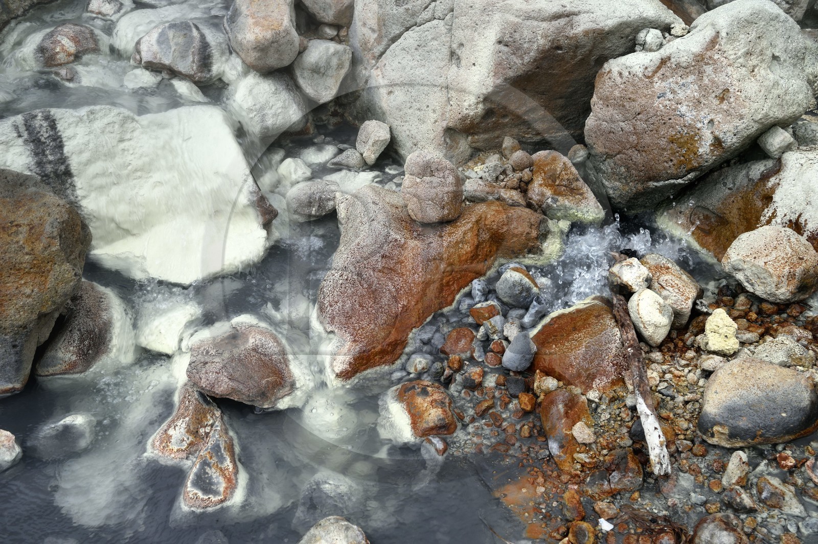 Caraïbes, Ile de la Dominique, Castle Bruce, Parc national du Morne Trois Pitons classé Patrimoine Mondial de l'UNESCO, la Vallée de la Désolation, rivière aux sources d'eau chaude dont la couleur unique est due à la présence de calcium, de carbone, de soufre et de fer, sur le sentier menant au Boiling Lake