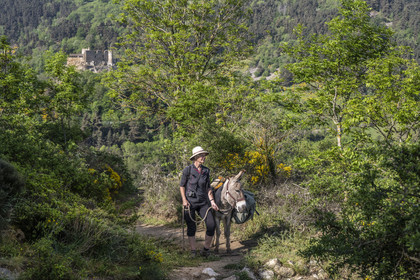 France, Haute-Loire (43), Goudet, le chateau de Beaufort construit vers 1200 domine la vallée de la Loire, randonnée avec un âne sur le chemin de Stevenson (GR 70)