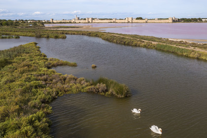 France, Gard, Aigues Mortes, the medieval town surrounded by its ramparts on the edge of the salt marshes (Salins du Midi) (aerial view)