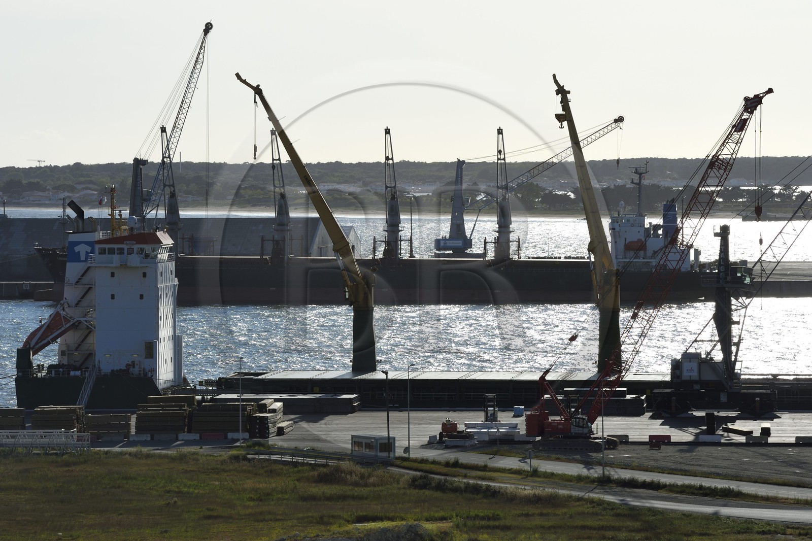 France, Charente-Maritime (17), La Rochelle, le Port Atlantique La Rochelle, port de commerce, quais dépendant de la société Sica Atlantique