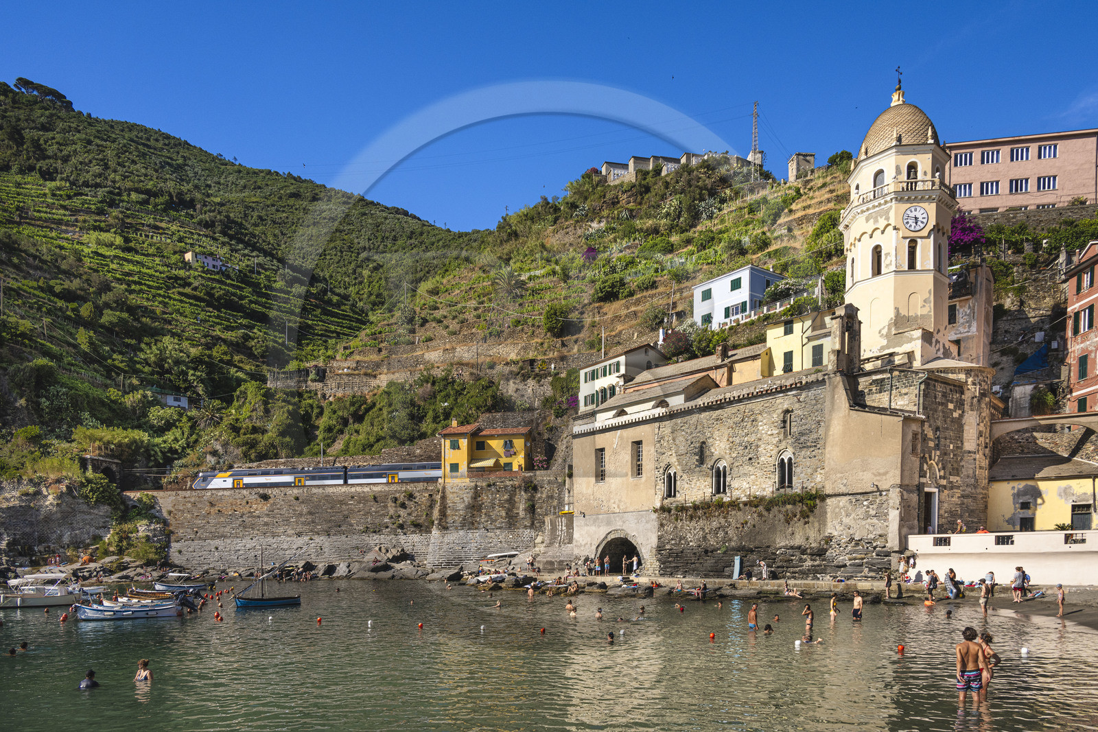 Italie, Ligurie, Cinque Terre, parc national des Cinque Terre classé Patrimoine Mondial de l'UNESCO, village de Vernazza, l'église paroissiale de Sainte Marguerite d'Antioche (Santa Margherita) flanquée d'un haut clocher octogonal et passage du train