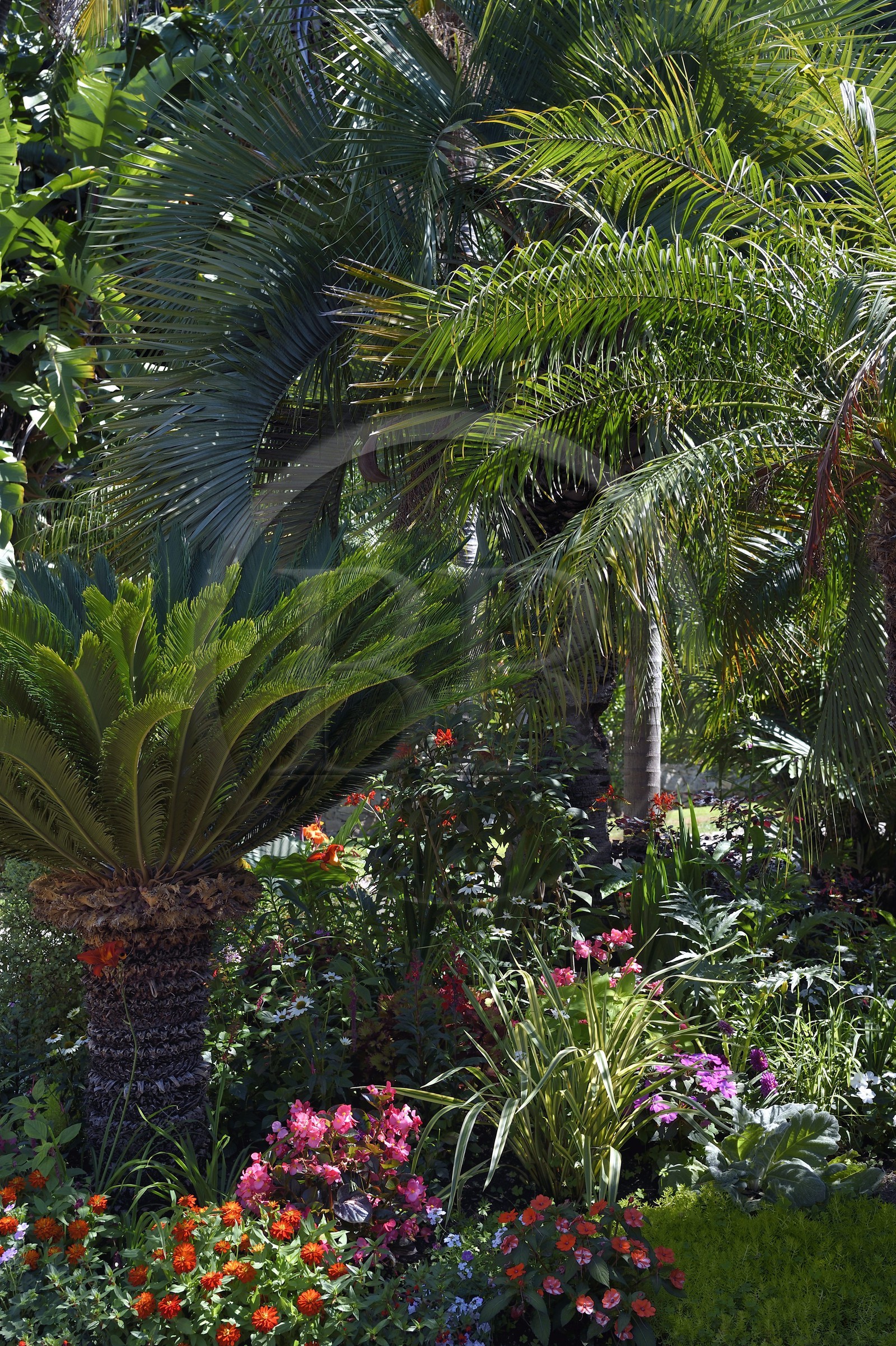 France, Alpes-Maritimes, district of Garavan, Menton Maria Serena garden
