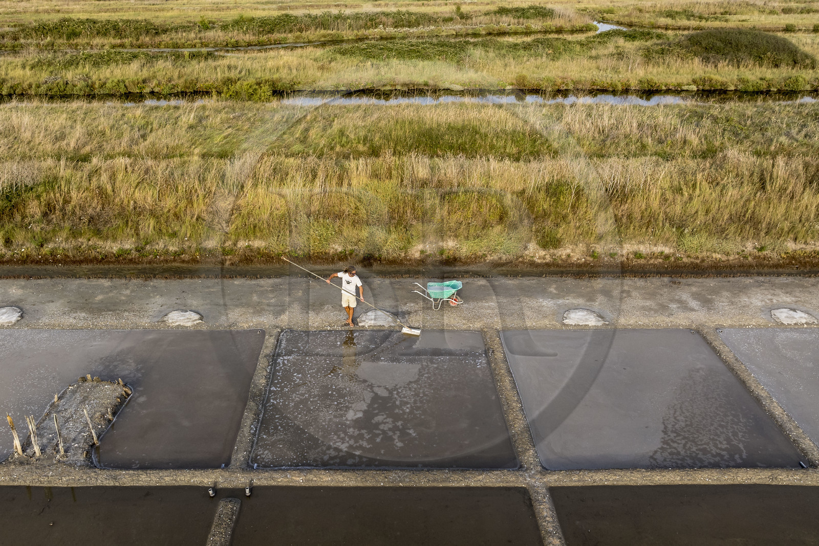 France, Charente-Maritime (17), Ile d'Oléron, Saint-Georges-d'Oléron, cueillette artisanale de la fleur de sel avec une lousse à fleur par le saunier Samuel Barbereau (vue aérienne)