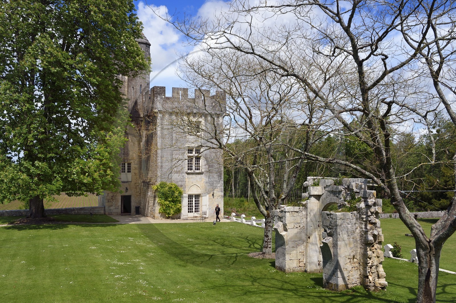 France, Charente-Maritime (17), Saintonge, Crazannes, chateau de Crazannes, le donjon, vestige du mur d'enceinte de l'ancienne forteresse médiévale du XIème siècle