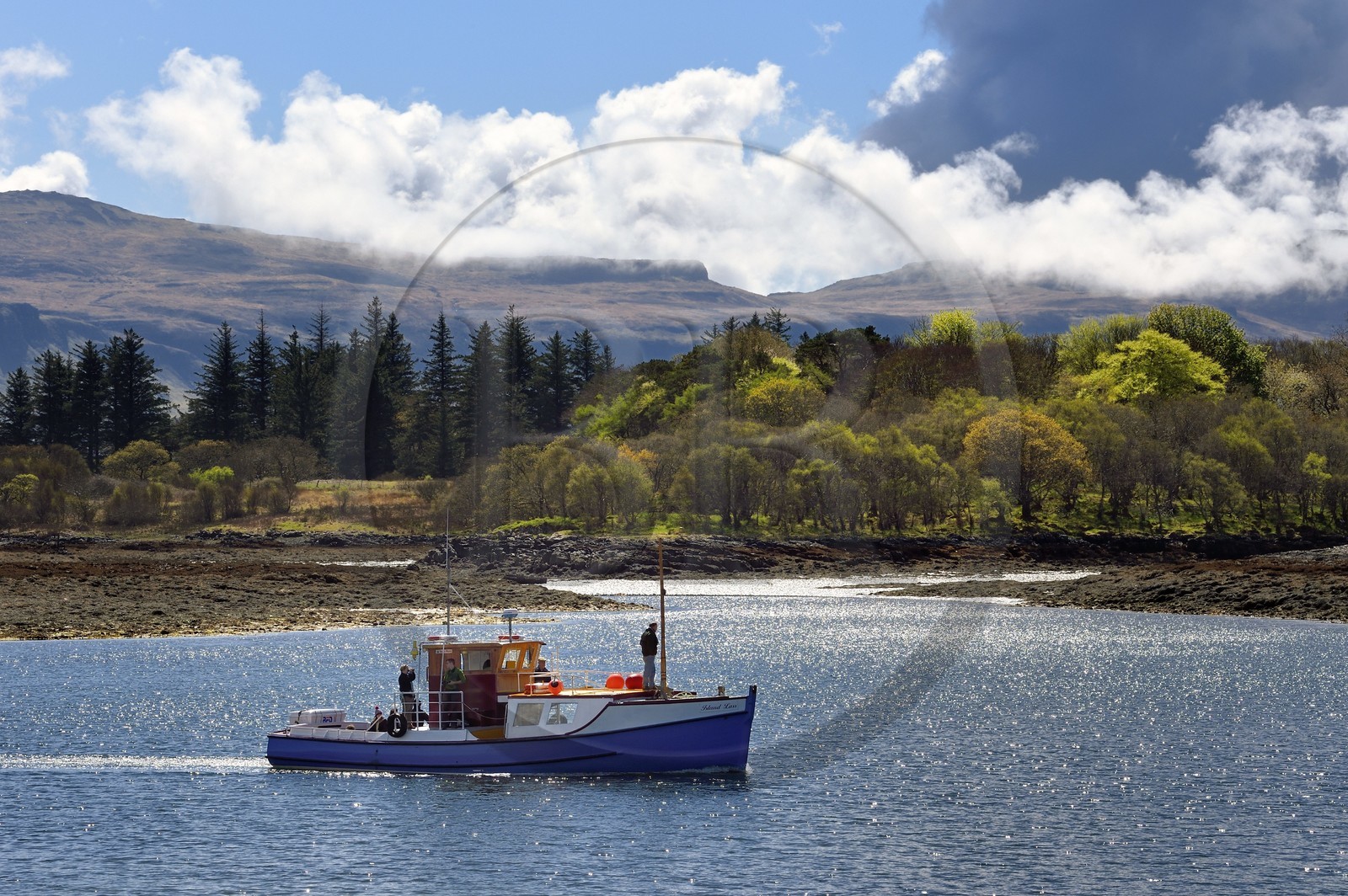 Royaume-Uni, Ecosse, Highland, Hébrides intérieures, Ile d'Ulva proche de la cote ouest de l'Ile de Mull