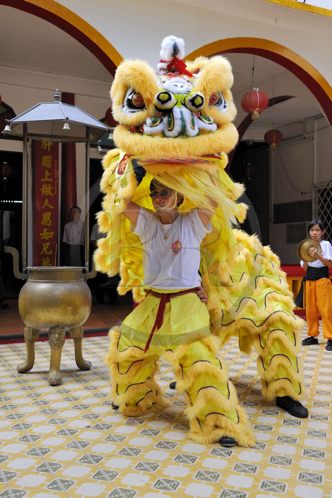France, île de la Réunion, Saint-Pierre, danse traditionnelle du dragon à l'occasion des fêtes du nouvel an chinois dans un temple