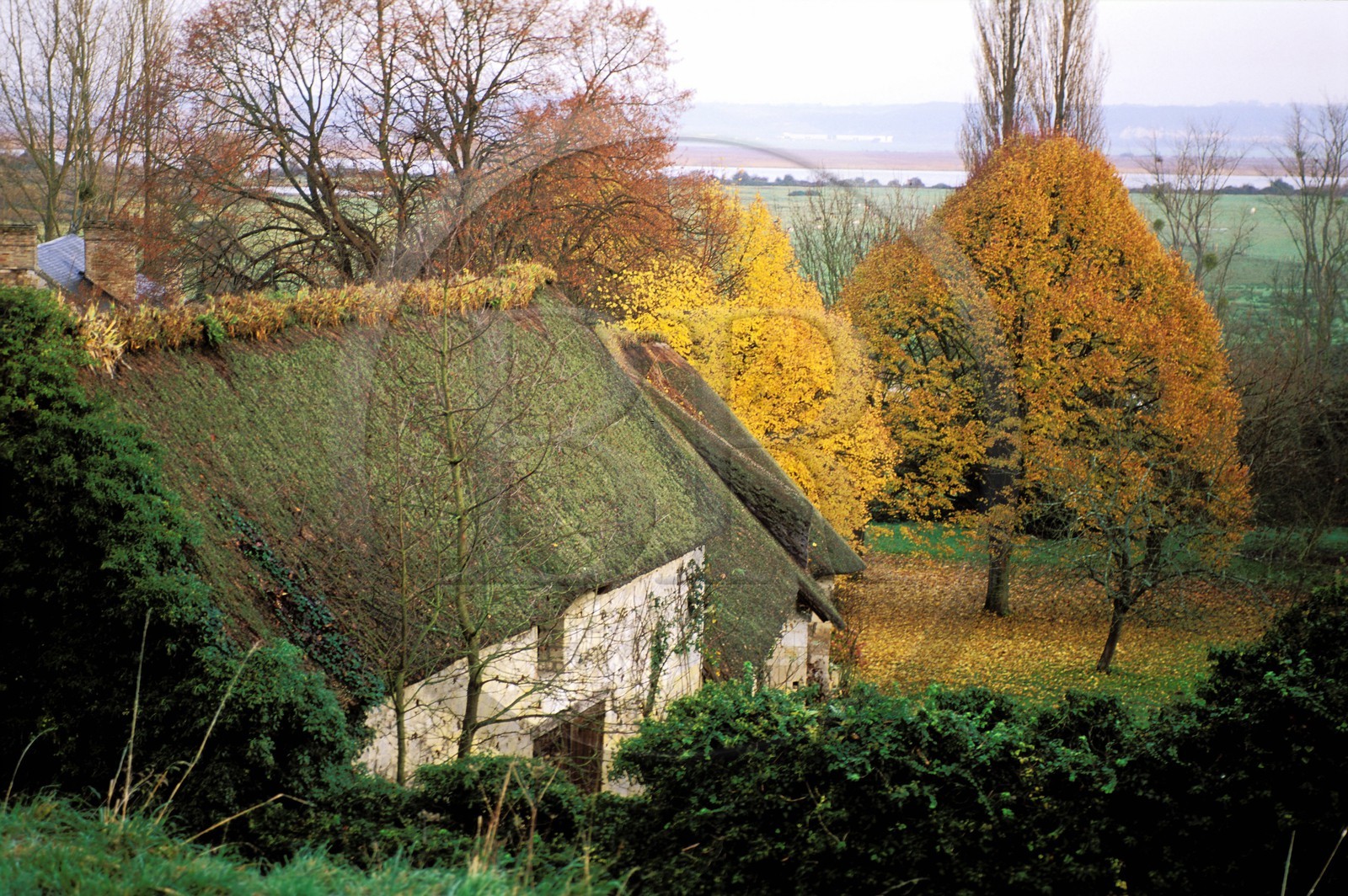 France, Eure (27), Marais-Vernier, maison traditionnelle à toit de chaume