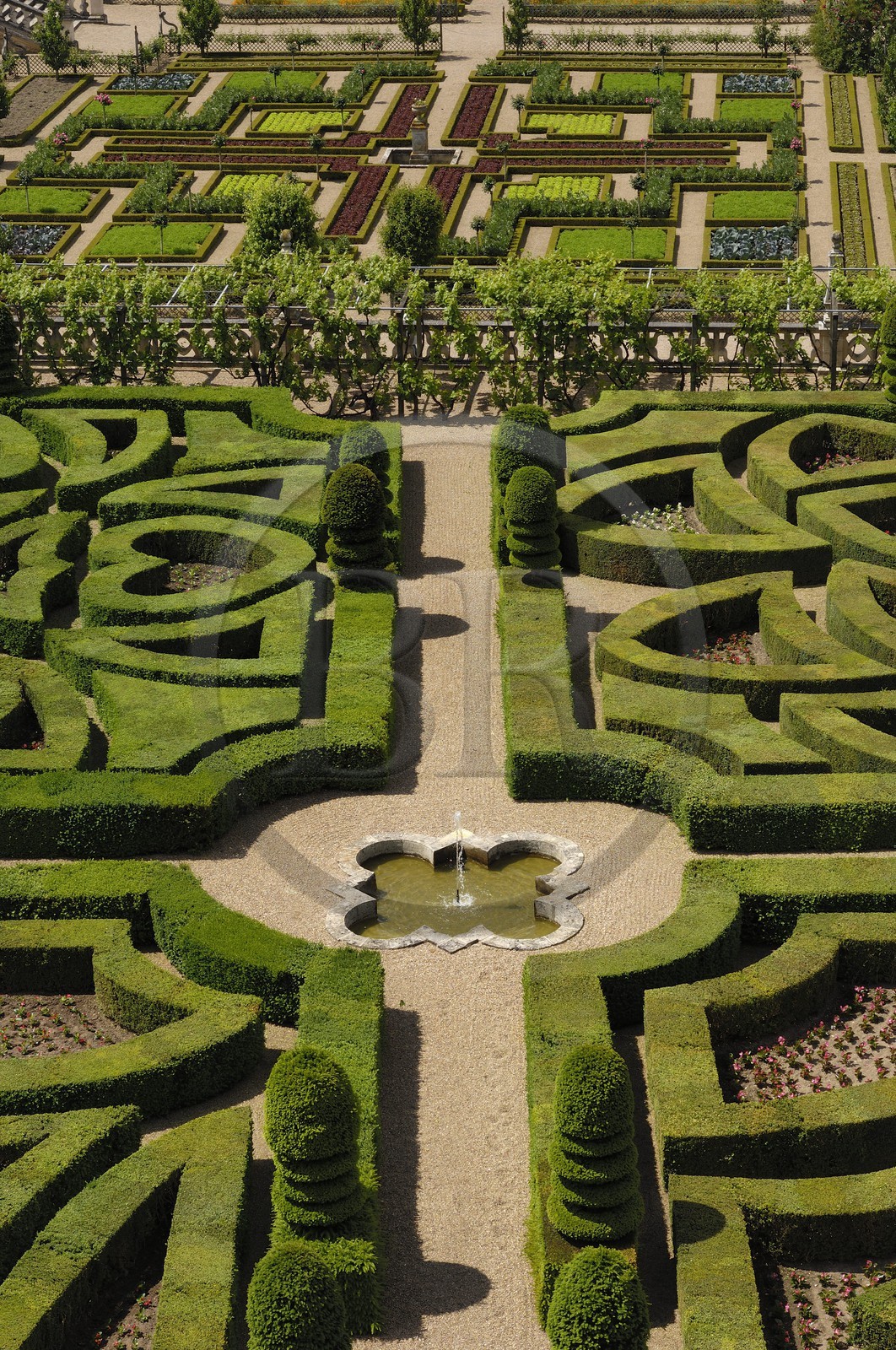 France, Indre-et-Loire (37), vallée de la Loire classée Patrimoine Mondial de l'UNESCO, les jardins à la française du château de Villandry, propriété d'Angélique et Henri Carvallo
