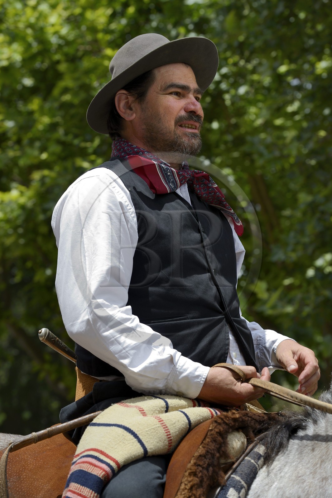 Argentine, province de Buenos Aires, San Antonio de Areco, fête du Jour de la Tradition (Dia de la Tradicion), gaucho à cheval défilant en habit traditionnel