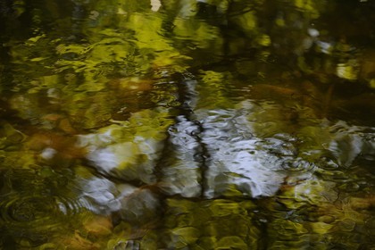 France, Var (83), Provence Verte, Tourves, rivière du Caramy dans les Gorges du Caramy