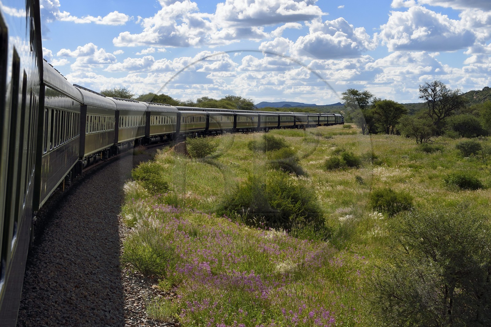 Namibia, Otjozondjupa region, the Shongololo express train crossing the Namibian bush