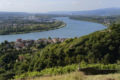 France, Rhône (69), vue sur le Rhône depuis les hauteurs du village de Condrieu et son vignoble