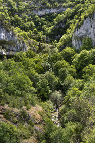 France, Vaucluse (84), Parc naturel régional du Mont Ventoux, Monieux, Gorges de La Nesque, la Nesque