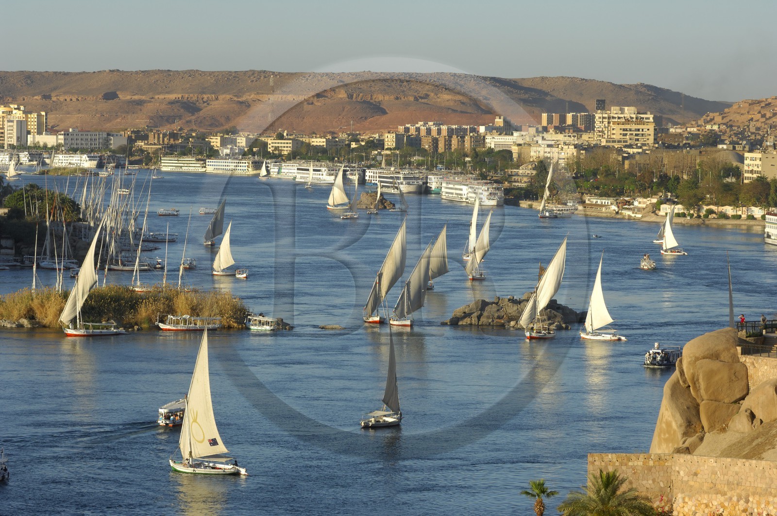 Egypte, Haute Egypte, Nubie, vallée du Nil, Assouan, felouques et bateau de croisière sur le Nil, le port en arrière plan