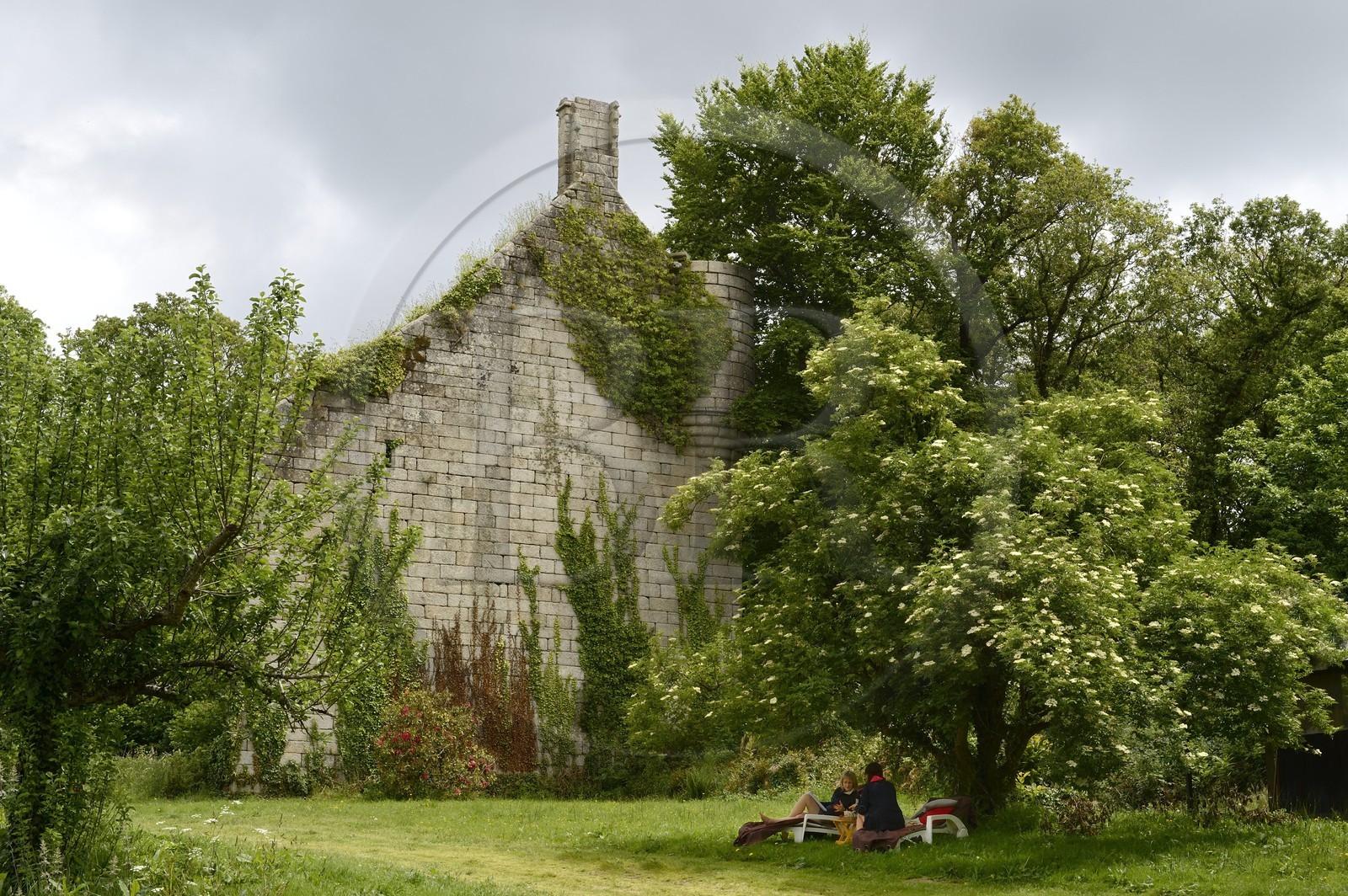 France, Finistere, Pont-Aven, Nizon, Rustephan castle, former manor house of the fifteenth and sixteenth century ruin