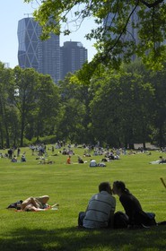Etats-Unis, New York, Manhattan,  Central Park, sheep meadow, baiser d'amoureux