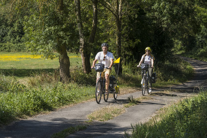 France, Maine-et-Loire, Loire valley listed as World Heritage by UNESCO, Saumur towards Saint-Hilaire, cycling along the banks of the Loire on the Loire à Vélo cycle path, bike with a trailer carrying camping equipment