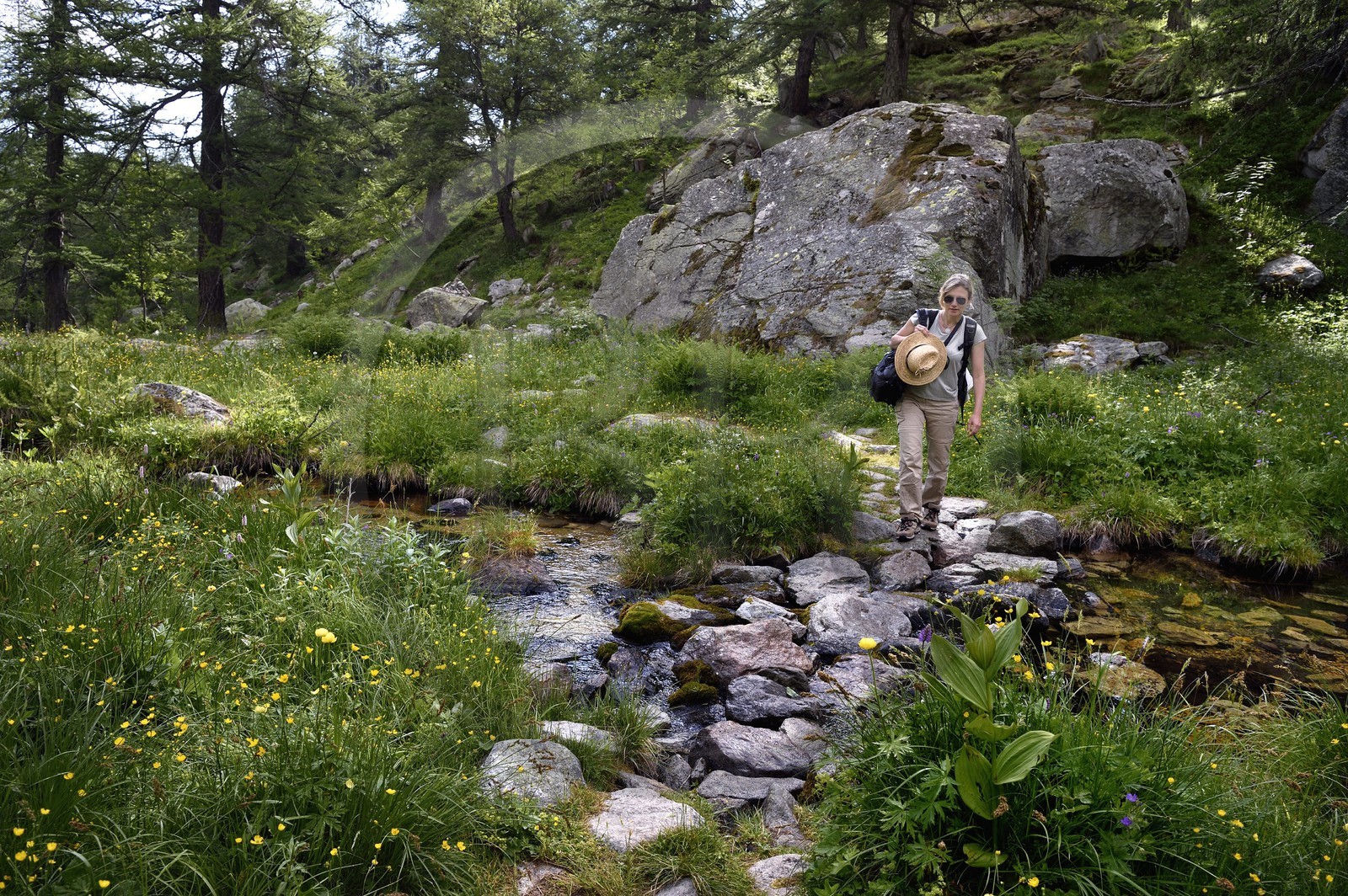 France, Alpes-Maritimes (06), parc national du Mercantour, vallon de la Minière en contrebas de la Vallée des Merveilles